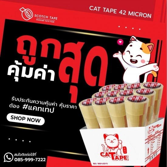 เทปกาวปิดกล่องราคาถูก ตรา CAT TAPE รุ่นประหยัดต้นทุน - เทปราคาถูก ราคาโรงงานขายส่ง มาดามพัทพริงค์